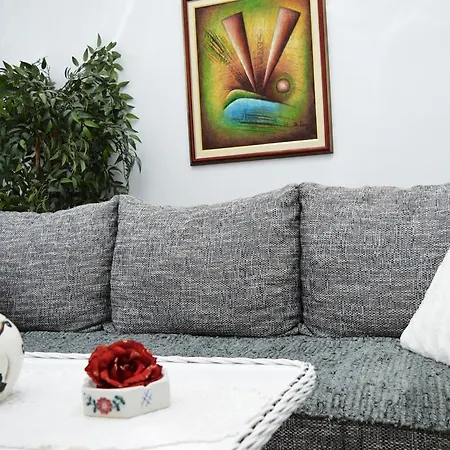 Studio Two Roses Split