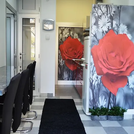 Appartement Studio Two Roses *