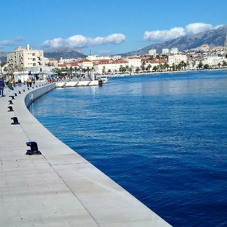 Daire Studio Two Roses Split