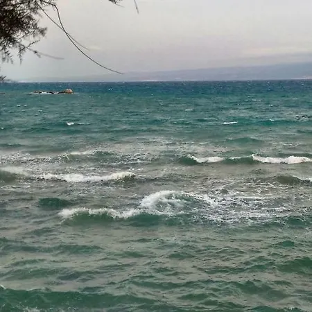 Daire Studio Two Roses