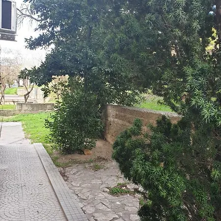 Daire Studio Two Roses *