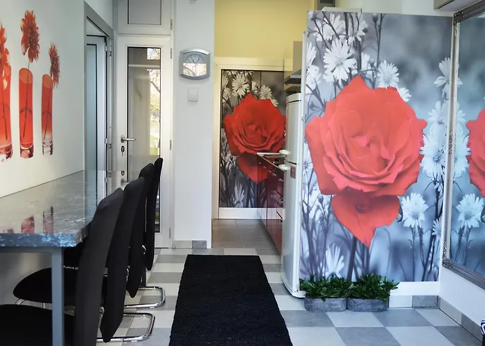 Apartman Studio Two Roses *