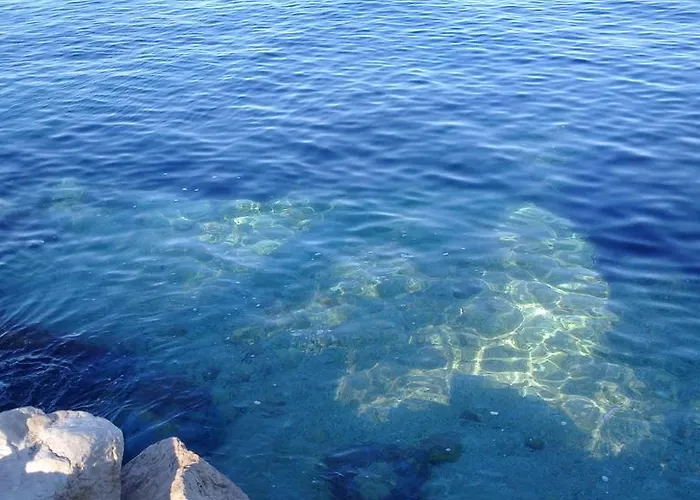 Studio Two Roses * Split