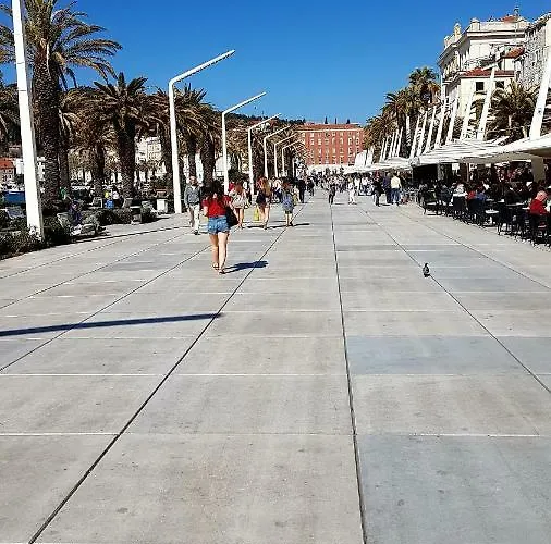 Studio Two Roses Split