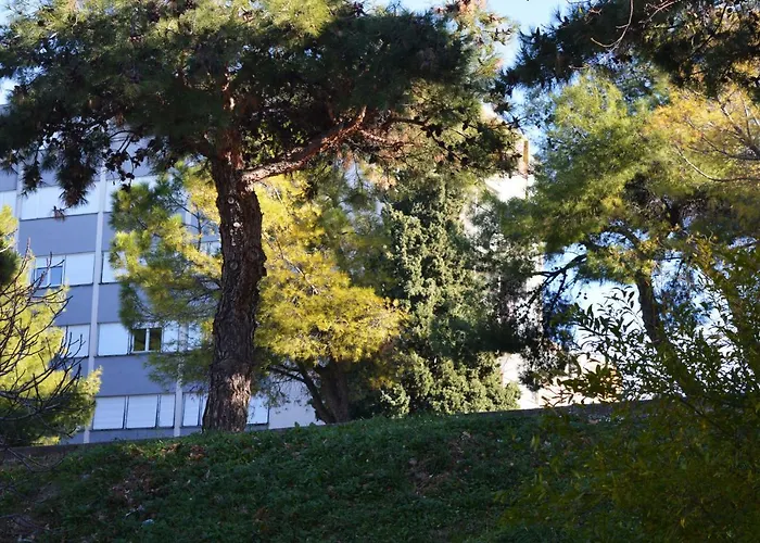 Studio Two Roses Split